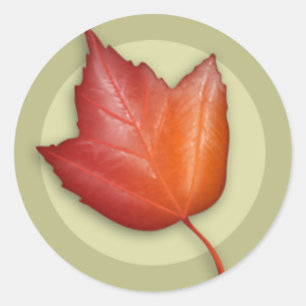 Autumn Red Maple Leaf Round Sticker