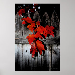 Autumn Red Poster