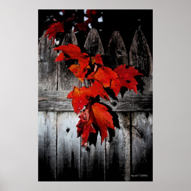 Autumn Red Poster (Front)