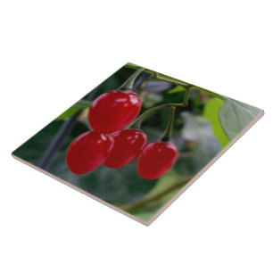 Autumn red spots ceramic tile