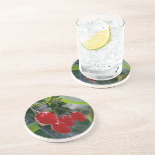 Autumn red spots coaster