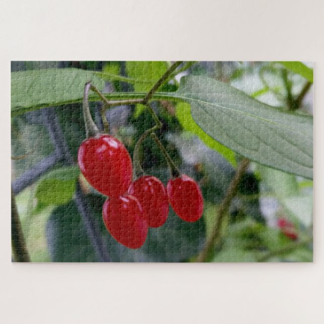 Autumn red spots jigsaw puzzle (Horizontal)