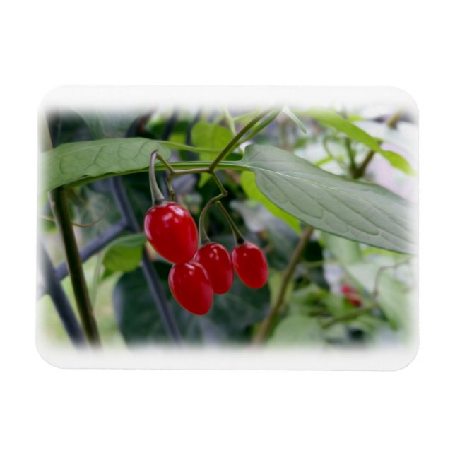 Autumn red spots magnet (Horizontal)