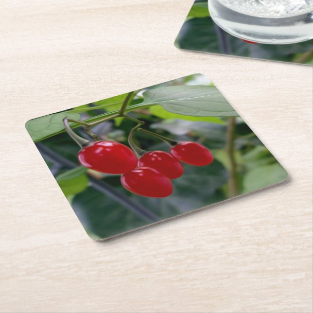 Autumn red spots square paper coaster (Angled)