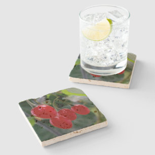 Autumn red spots stone coaster