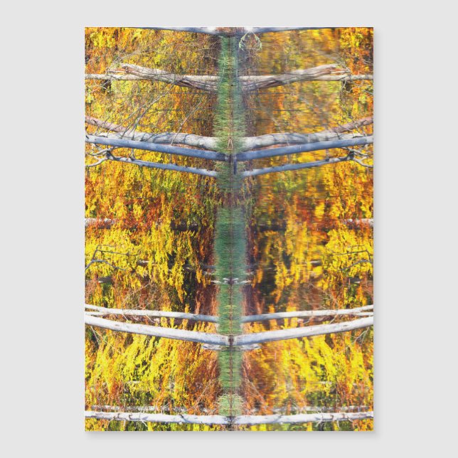 Autumn Reflection (Front)