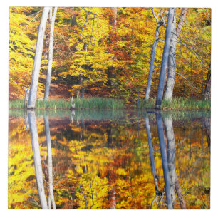 Autumn Reflection Ceramic Tile