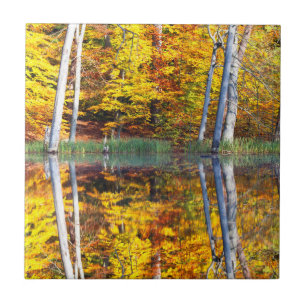 Autumn Reflection Ceramic Tile