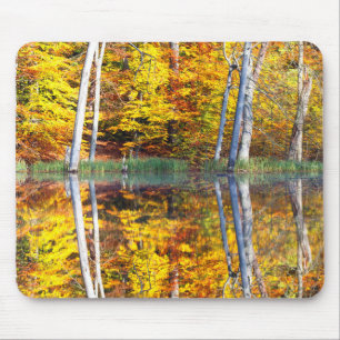 Autumn Reflection Mouse Pad