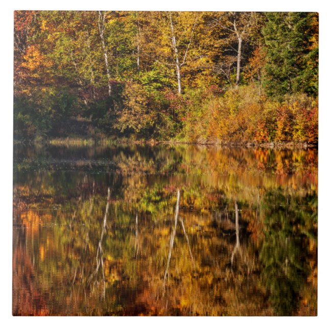 Autumn reflection on Coffin Pond Ceramic Tile (Front)