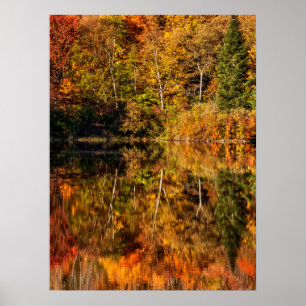 Autumn reflection on Coffin Pond Poster
