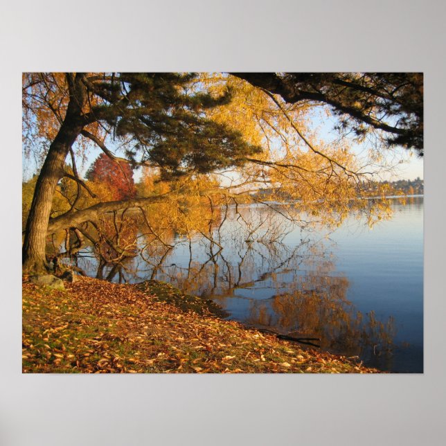 Autumn Reflection Poster (Front)