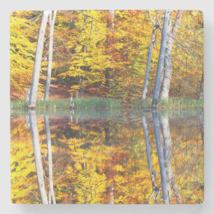 Autumn Reflection Stone Coaster