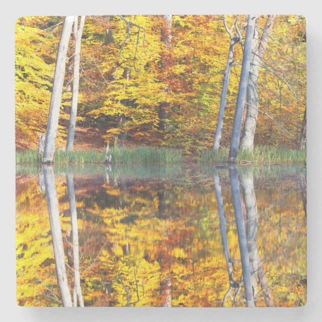 Autumn Reflection Stone Coaster (Front)