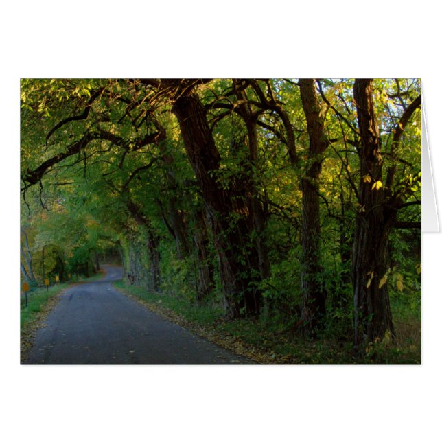 Autumn Reflections #25 (Front Horizontal)