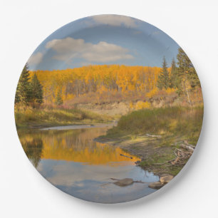 Autumn Reflections - Aspen Poplars Paper Plate