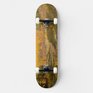 Autumn Reflections - Aspen Poplars Skateboard