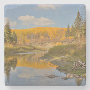 Autumn Reflections - Aspen Poplars Stone Coaster