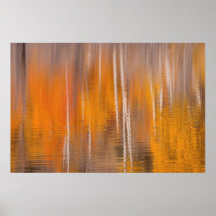 Autumn Reflections on Beaver Pond   Winthrop, WA Poster