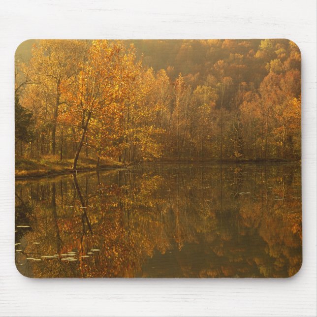 Autumn reflections on pond. mouse pad (Front)