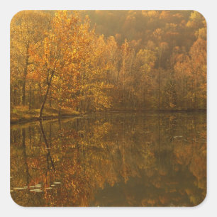 Autumn reflections on pond. square sticker