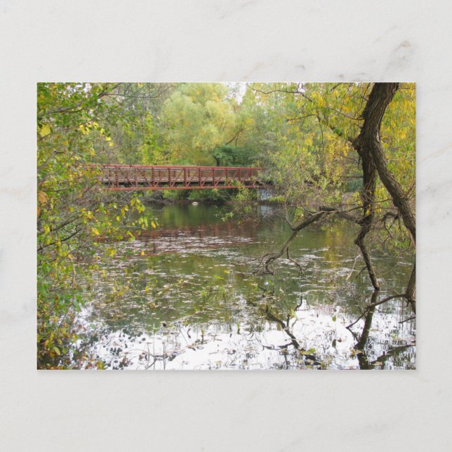 Autumn Reflections Postcard (Front)