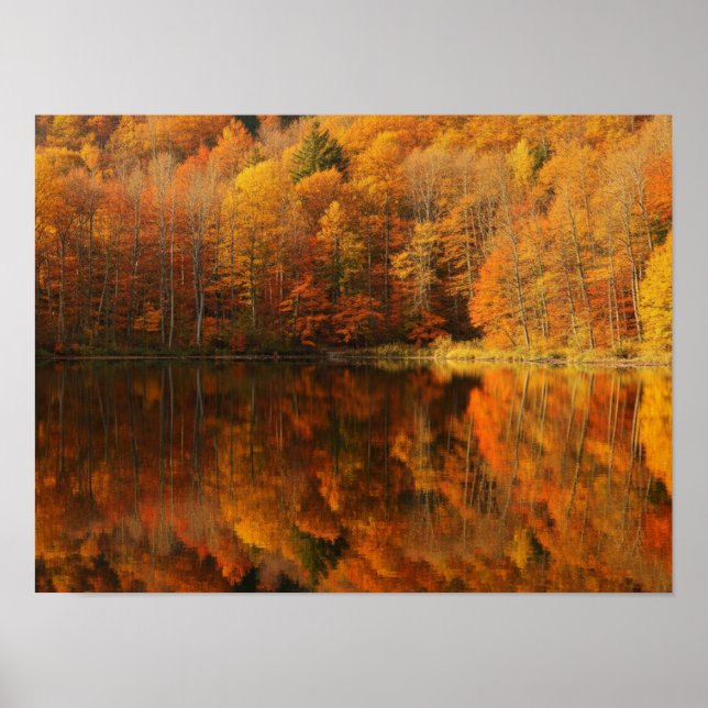 Autumn Reflections Poster (Front)