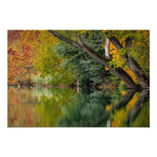 Autumn River Photo Print