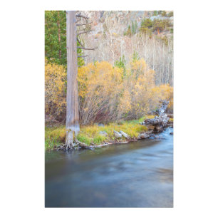 Autumn River Scene Photo Print