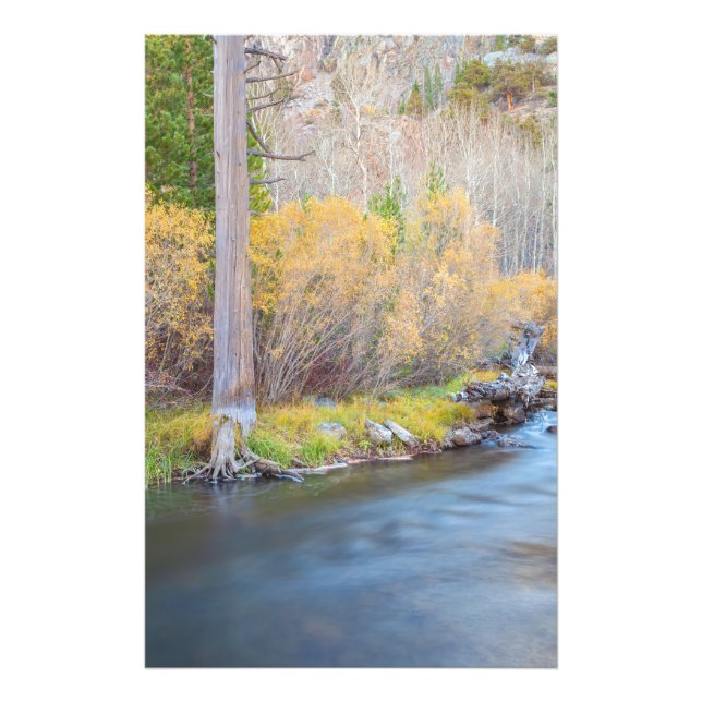 Autumn River Scene Photo Print (Front)