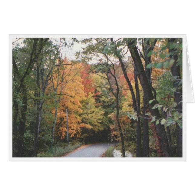 Autumn Road (Front Horizontal)