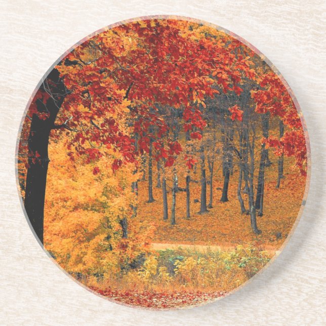 Autumn Road Coaster (Front)