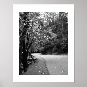 Autumn Road Leaves Yosemite Poster - Black & White