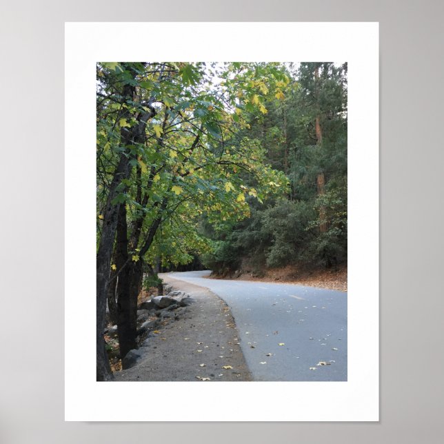 Autumn Road Leaves Yosemite Poster - Original (Front)