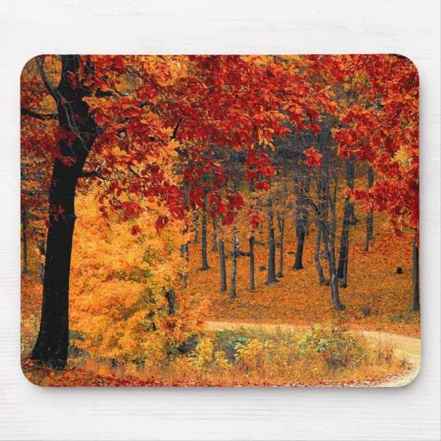 Autumn Road Mouse Pad (Front)
