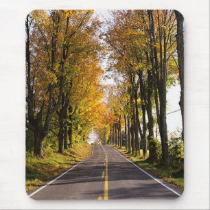 Autumn Road Mouse Pad