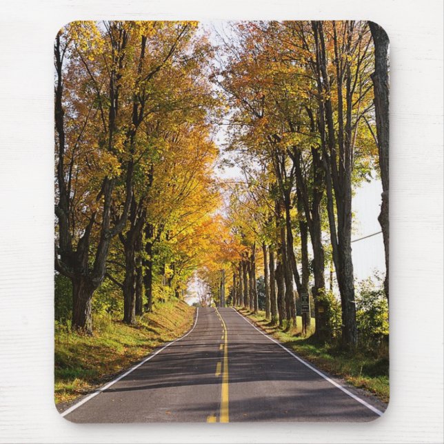 Autumn Road Mouse Pad (Front)