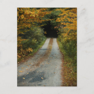 Autumn Road postcard
