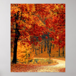 Autumn Road Poster