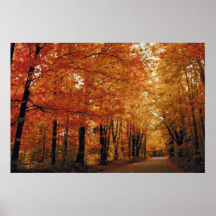 Autumn Road Poster