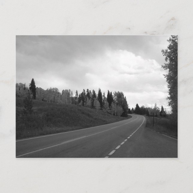 Autumn Roads Postcard (Front)