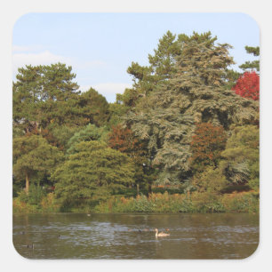 Autumn, Roath Park Lake, Cardiff Square Sticker