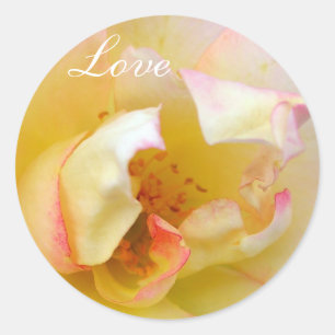 Autumn Rose Classic Round Sticker