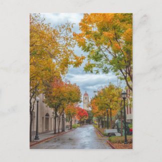 Autumn Scene at Stanford University Campus Postcard