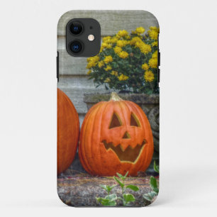 Autumn Scene iPhone 11 Case