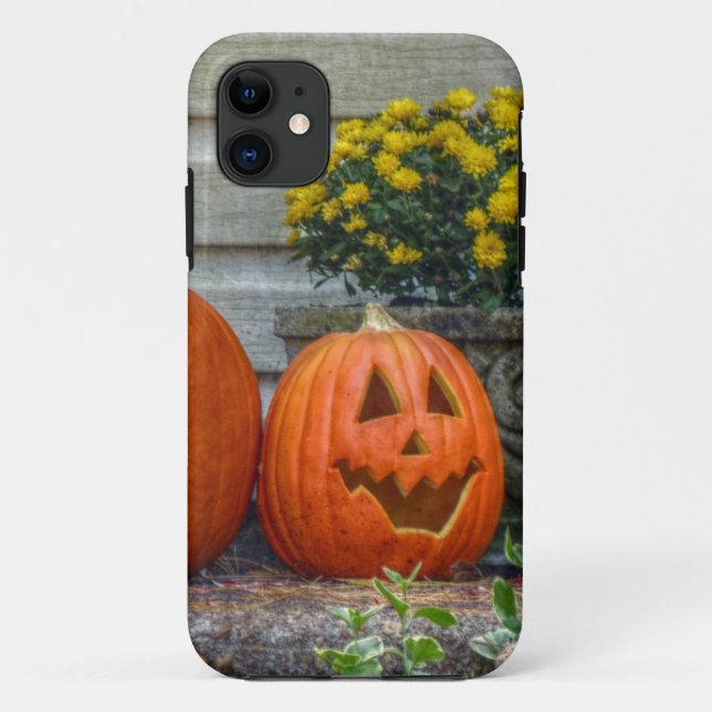 Autumn Scene Case-Mate iPhone Case (Back)