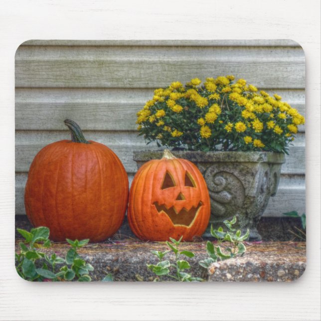 Autumn Scene Mouse Pad (Front)