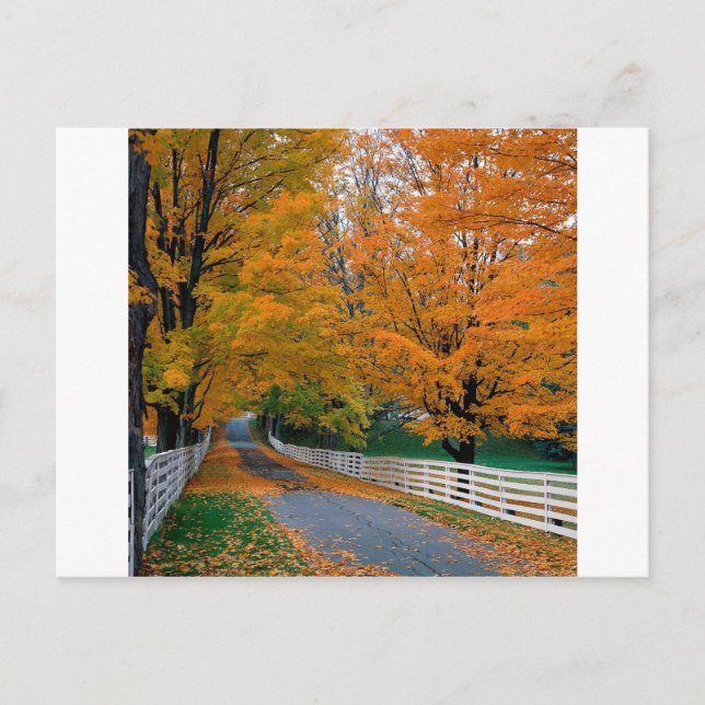 Autumn Scenic Backroad New Hampshire Postcard (Front)