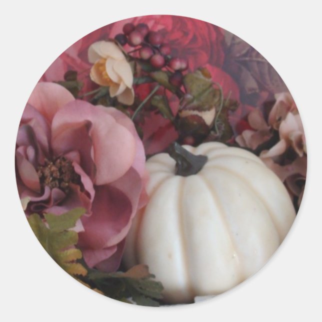 Autumn Seals (Front)