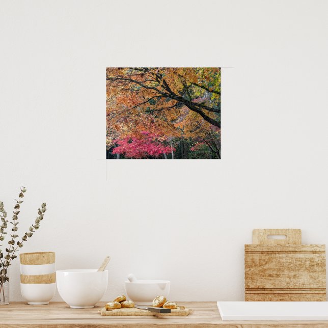 Autumn Season Leaf Colours Botancial Poster (Kitchen)